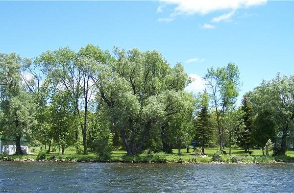 Your vacation destination